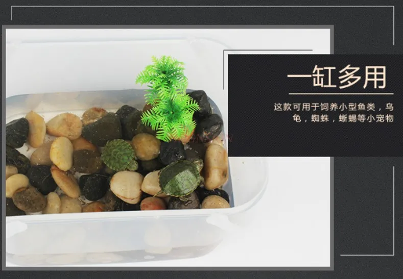 Small fish tank, turtle tank, mini pet breeding box, children's portable small plastic, children raising tadpoles