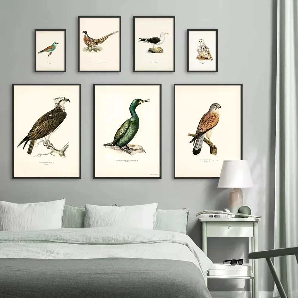 (No frame)Retro Birds Poster and Print Vertebrate Canvas Painting Cormorant Bird Wall Picture Realism Art Mural Home Decor fo