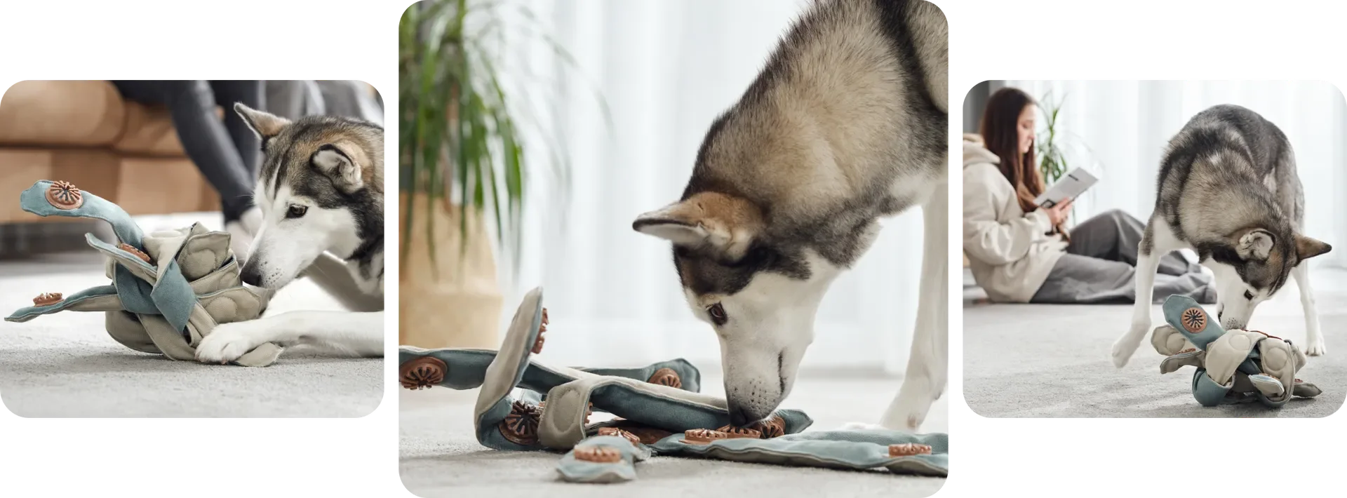 Oktopus-förmiges Hundespielzeug mit 24 Leckerli-Taschen Gehirnstimulierender Langeweile-Killer für Hunde – Detail 7
