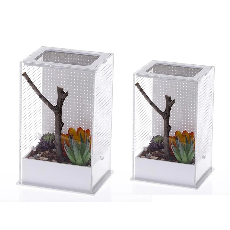 D5BD Insect Feeding Box Transparent Container Plastic Terrarium for Spiders Small Snakes for Carrier Box Easy to Deta