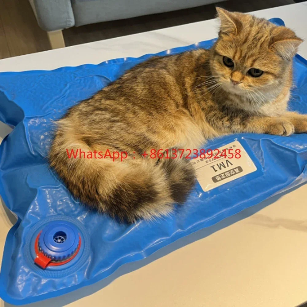 

Animal Surgical Accessories Pet Vacuum Positioning Mat Care Room Use Small Veterinary Examination Pad