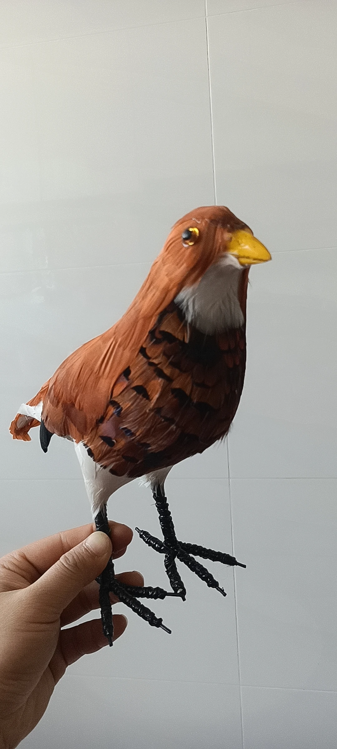 

Новая креативная модель птицы из пенопласта и перьев, коричневая птица около 25 см xf2893