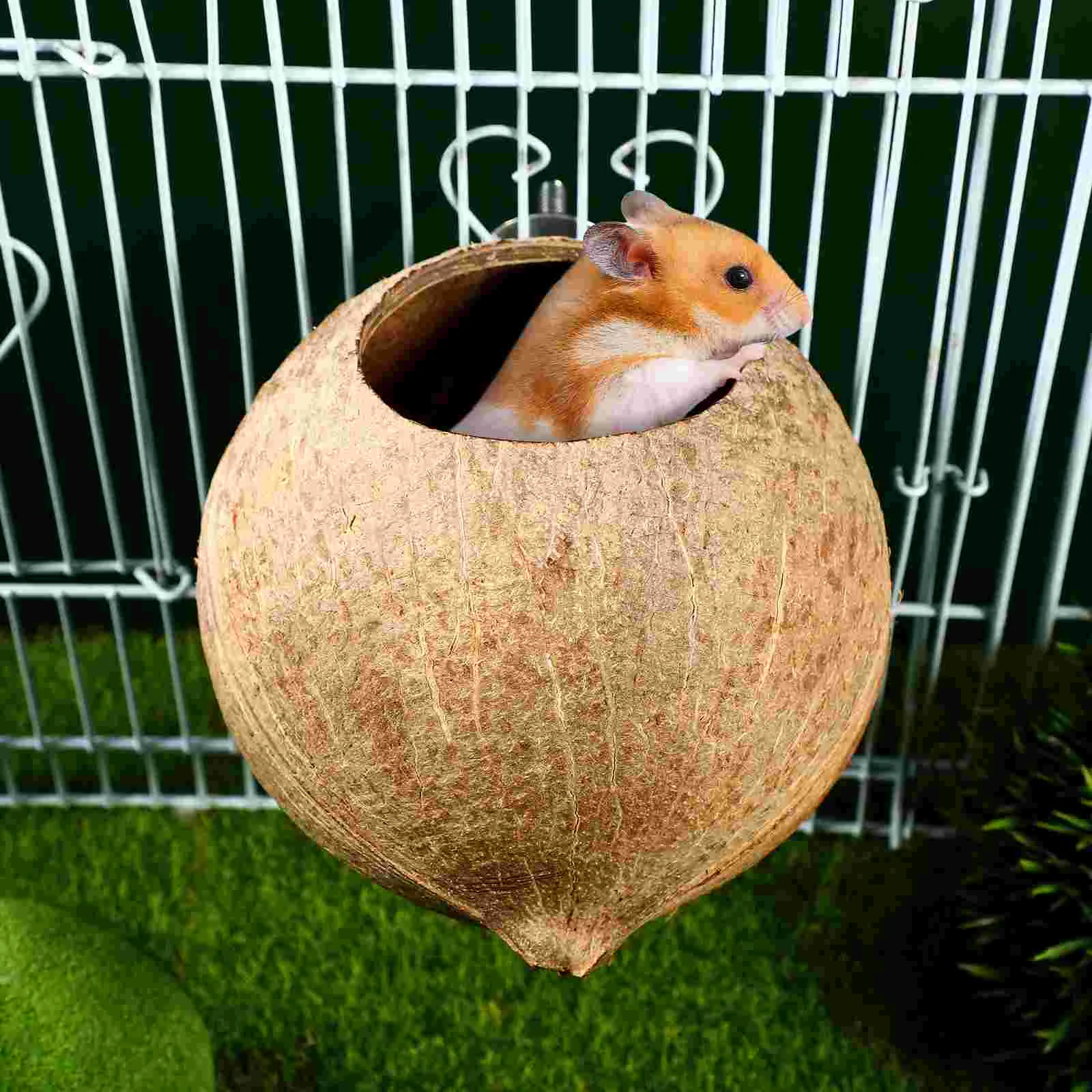 POPETPOP Coconut Shell Pet Bird Nest Hamster Squirrel Breeding Nest Crafts Delicate Bird House Pendant for Yard Garden