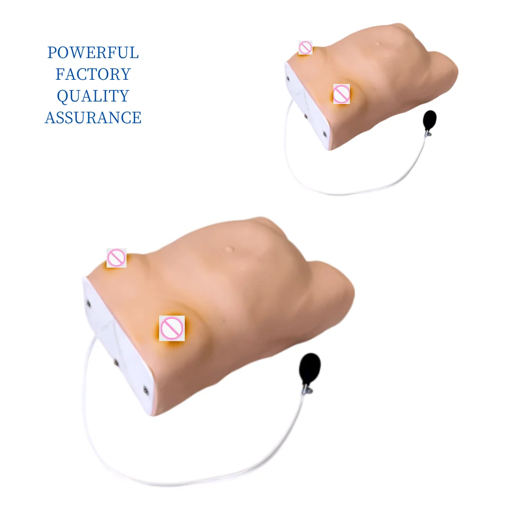 Advanced Maternity Screening Model Pregnant Woman Examination Gynecologic Practice Teaching and Training Simulator