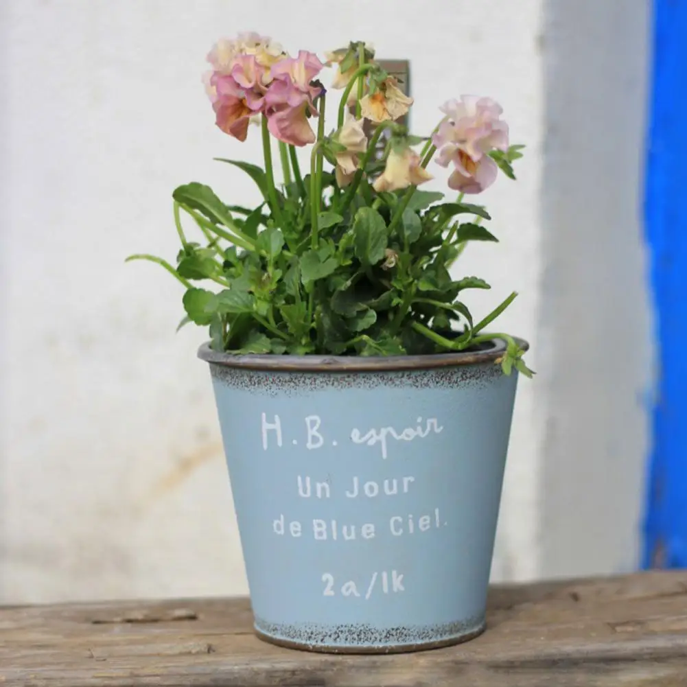 Vibrant Color Planter Hanging Flower Pot Hanging Metal Flowerpot Decorative Planter Outdoor Garden Plant Pot for Balcony Fence