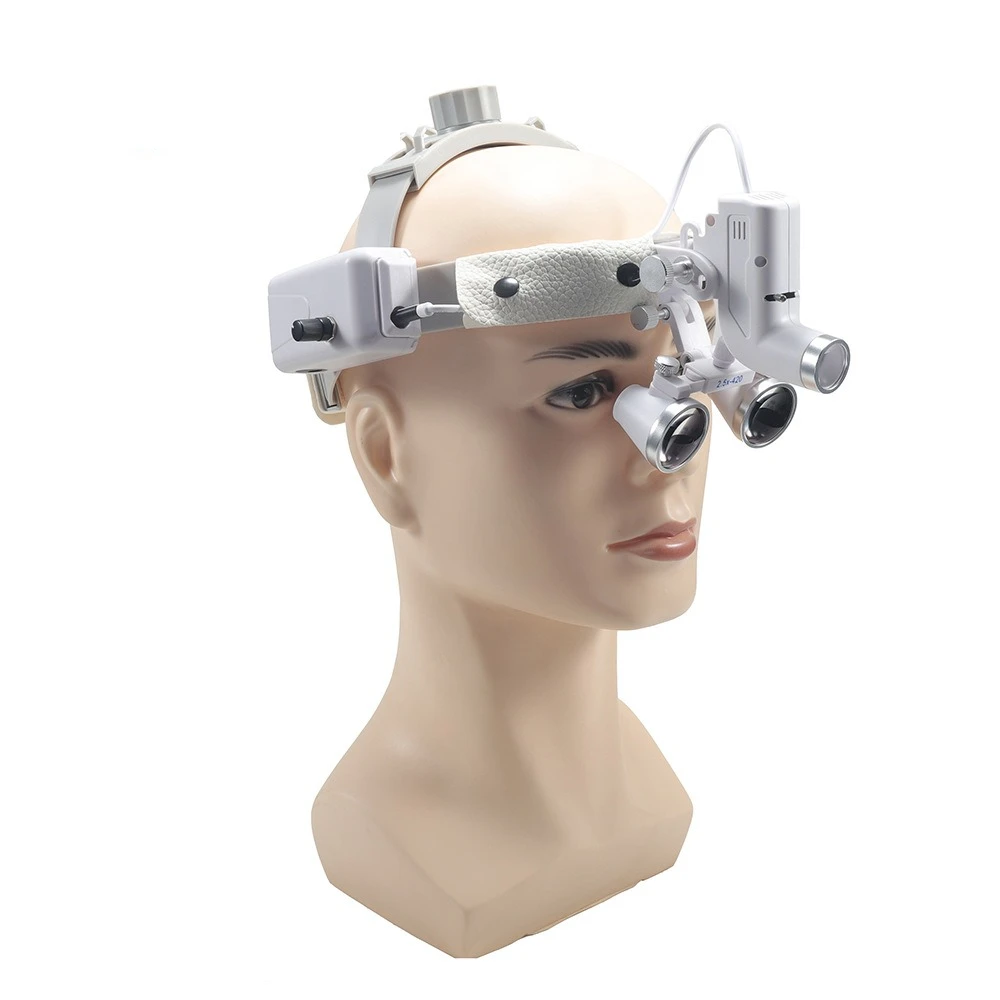 Dental Magnifying Glass, LED Headlight, Medical Head-Mounted Loupe for Surgery, Oral, Plastic Surgery, Facial Examination Lamp