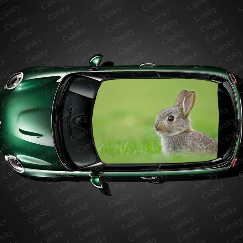 

rabbit animal Car stickers roof sunroof decorative stickers vinyl self-adhesive modified itache car stickers decals