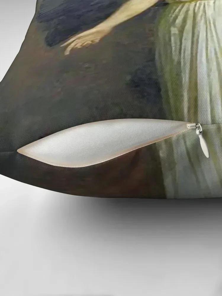 ملاك المذيع 109 رمي وسادة أغطية فاخرة أنيمي فتاة ديكور المنزل عناصر يغطي وسادة الأرائك