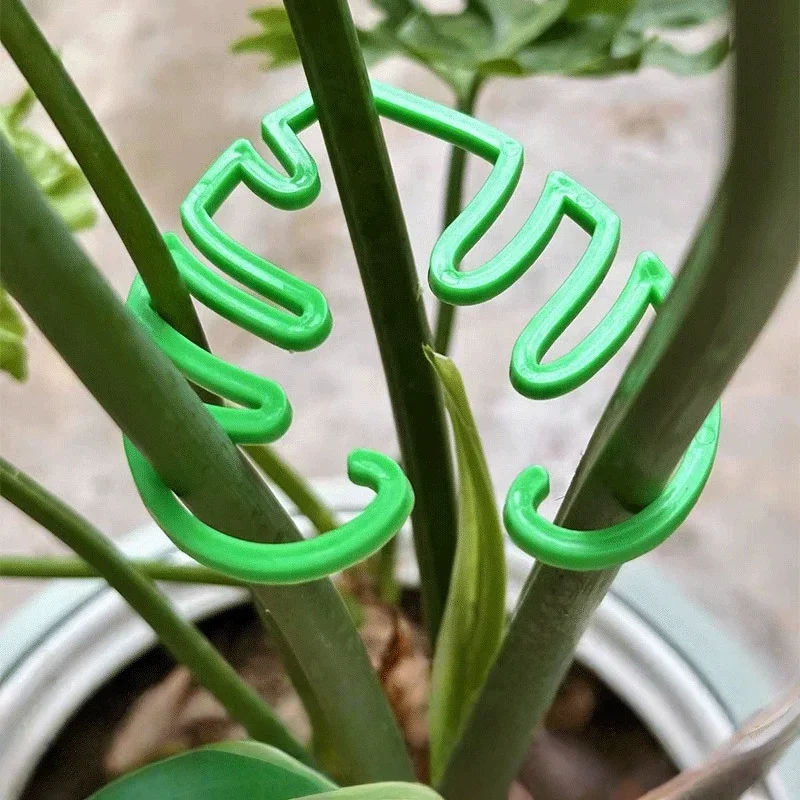 

2 шт., опора для стебля растений, держатель для грейфера, уникальный дизайн для вьющихся растений, набор бамбуковых зажимов в виде панциря черепахи, идеальная опора для растений