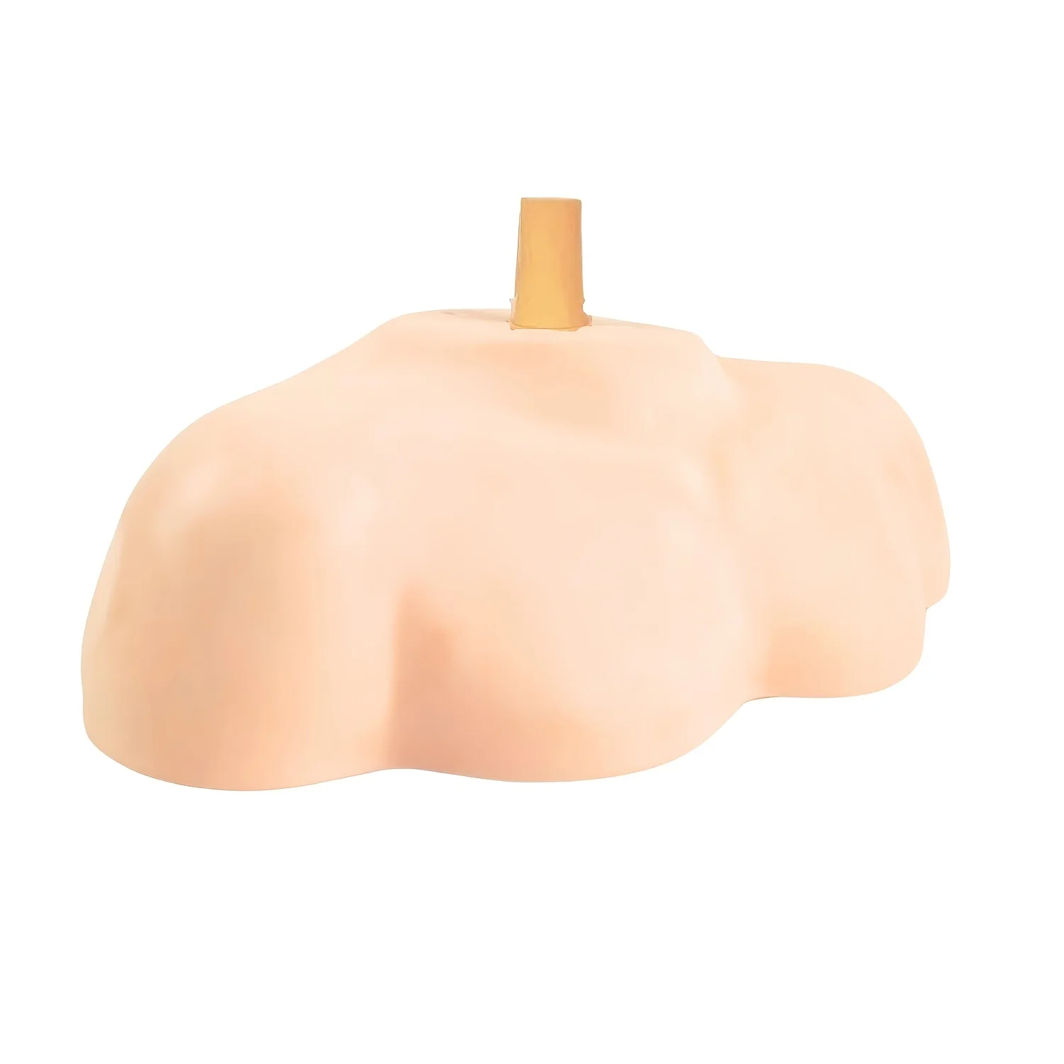 

Mold Shoulder Support Bracket Dummy Head Holder Support Wig Stand Mannequin Head Support Fake Head And Shoulder Braces