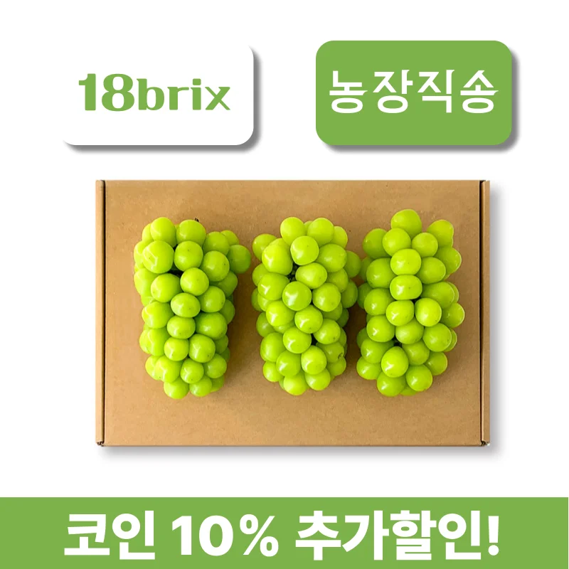 [Producción directa] Yeongdong Mosqueta brillante premium con alto contenido de azúcar, Shine Muscat, Set de regalo ShineMuskat, uvas de mango
