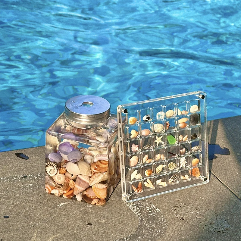 

Acrylic Magnetic Seashell Display Box Seashell Clear Starfish Trinket Organizers 36/64/100 Grids Mini Seashell Storage Box