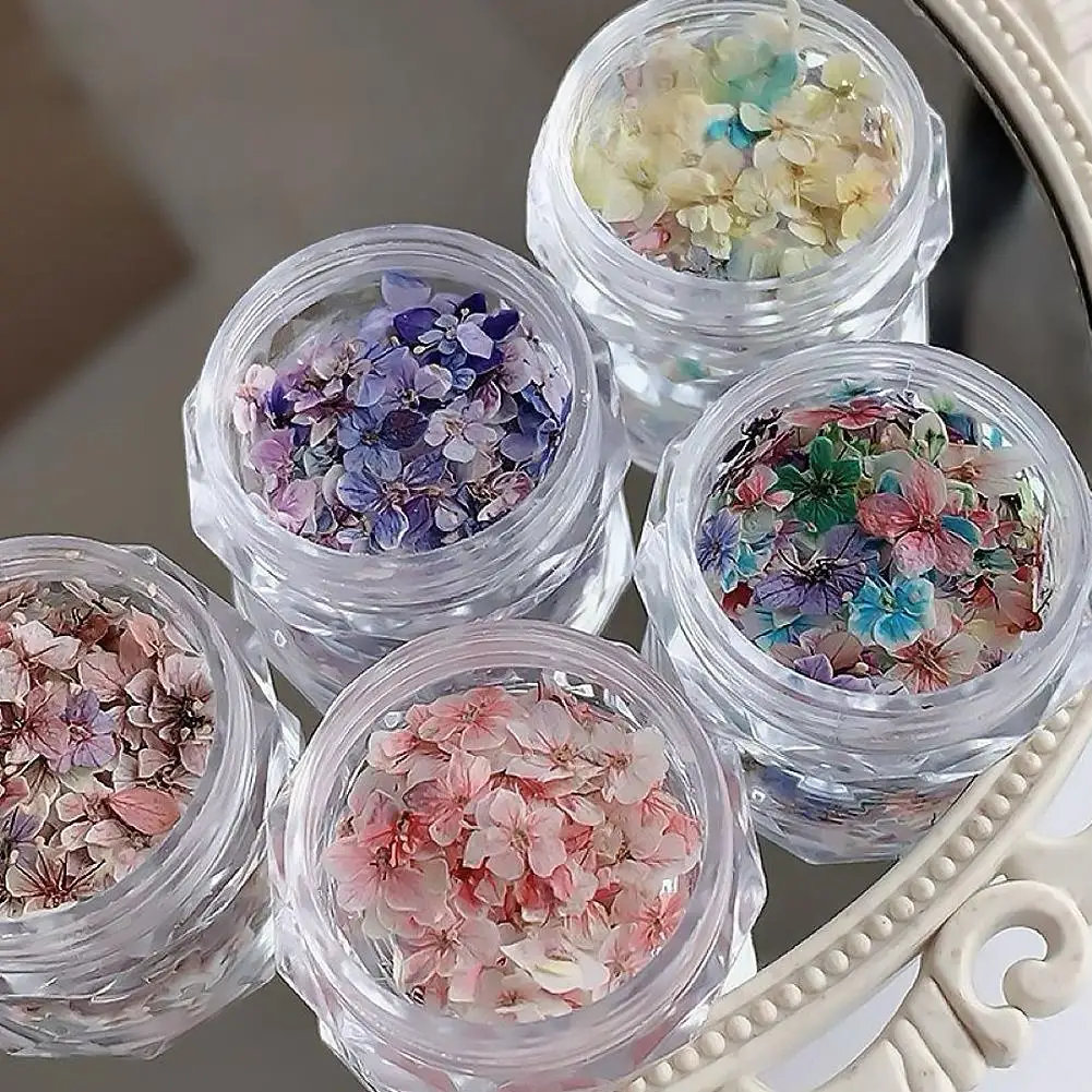 Getrocknete Blumenmaterialien für Nägel, romantische Monet-Garten-Farbpalette, lebendige Accessoires, Wildblumen-Nagelkunst-Dekorationen, Werkzeuge – Detail 13