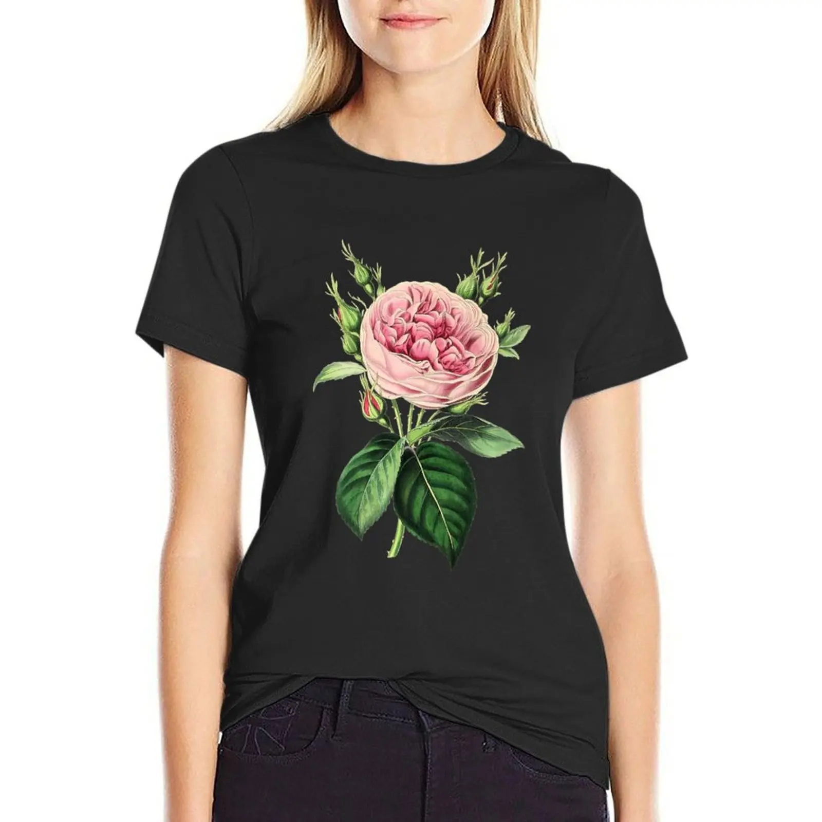 Pink Rose Vintage Aesthetic Botanical Floral Flowers T-Shirt summer top female cat shirts for Women