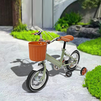 12-inch Bike Children's Bicycle Balance and Pedal Learning Bicycle Front Caliper Brake and Rear Drum Brake for 2-4 Years Old