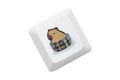 Capybara Type D x1