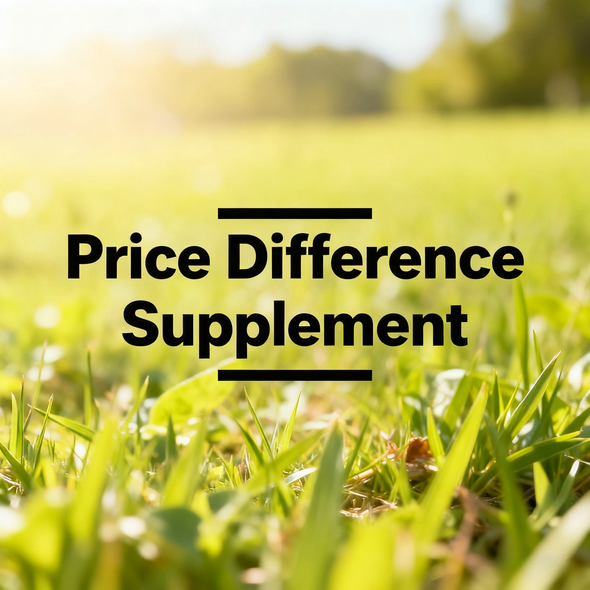 Enlace de diferencia de precio, póngase en contacto conmigo antes de realizar el pedido