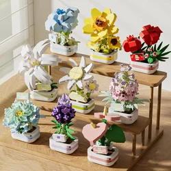 Building Blocks, Potted Plants, Immortal Flowers, Fun Succulents, Living Room Simulation Flowers, Desktop Decoration Toys