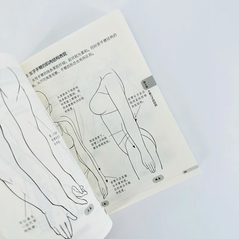 Beginner-Friendly Manga Tutorial Pocket Book: Step-by-Step Guide to Human Body Structure for Anime Drawing Techniques