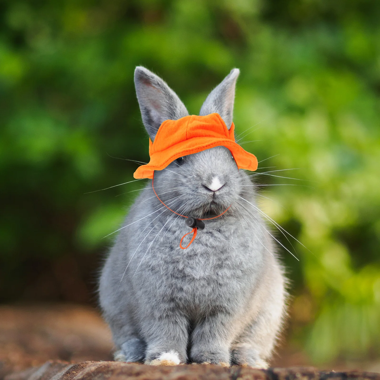 

Small Animals Pet Orange Hat Hats Mini Felt Guinea Pig Costume Rabbit for Bunnies