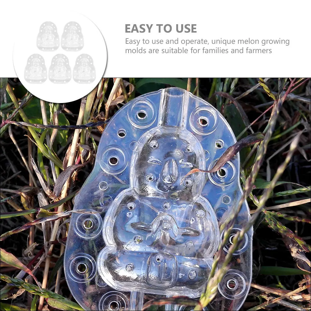

5Pcs Adorable Fruit Mold Transparent Shaping Tool for Growing Special Melons Multi-Use Garden Vegetable Former Kit