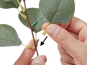 20 Stück Künstliche Gemischte Eukalyptusblätter-Stiele, Silberdollar-Blätter für DIY-Blumensträuße, Blumenarrangements, Heimdekoration, Hochzeit – Detail 5