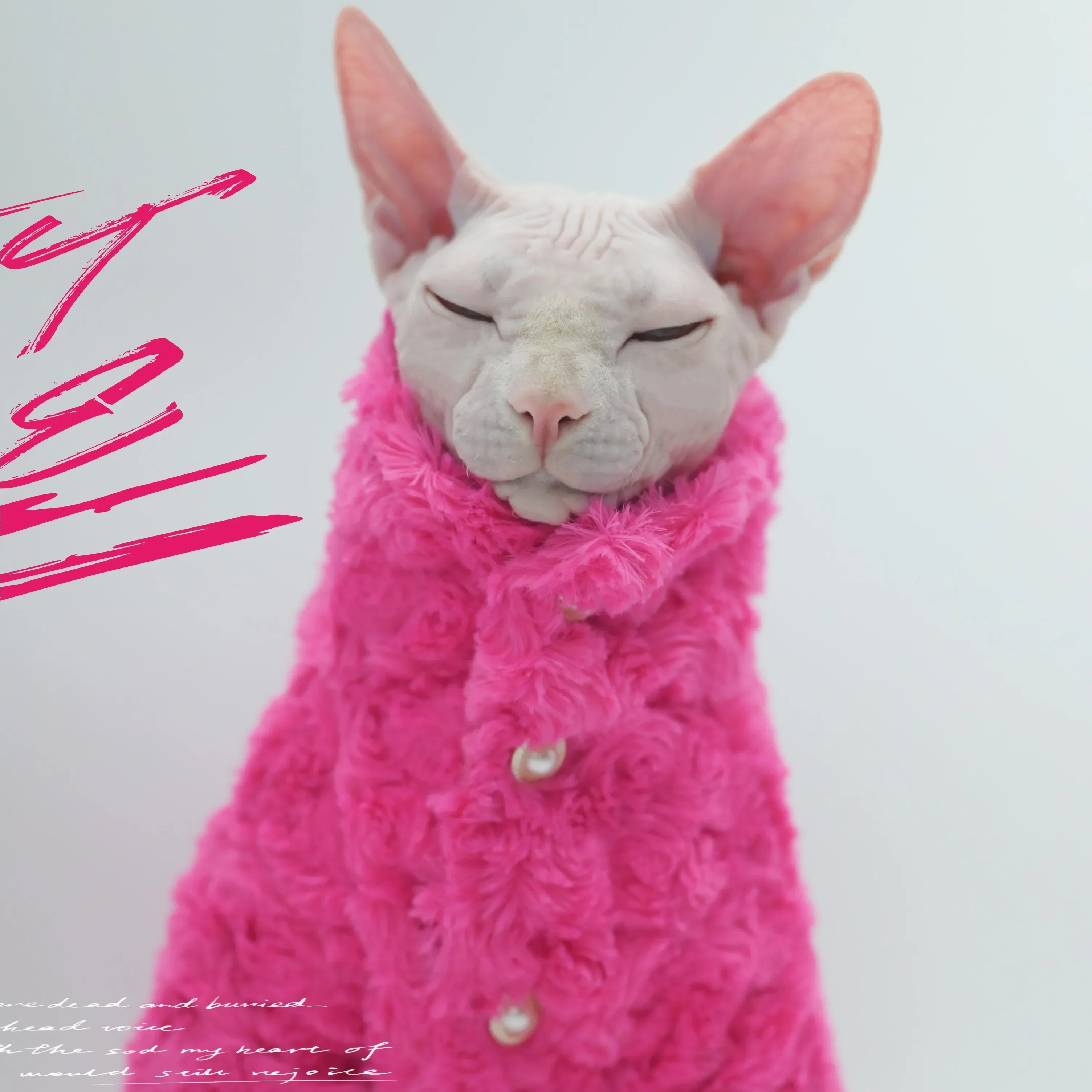 Hairless Cat Clothes Winter Two-layers Warm Thick Cat Apparel for Sphynx Cats, Devon Rex Cats,Small Cats and Dogs