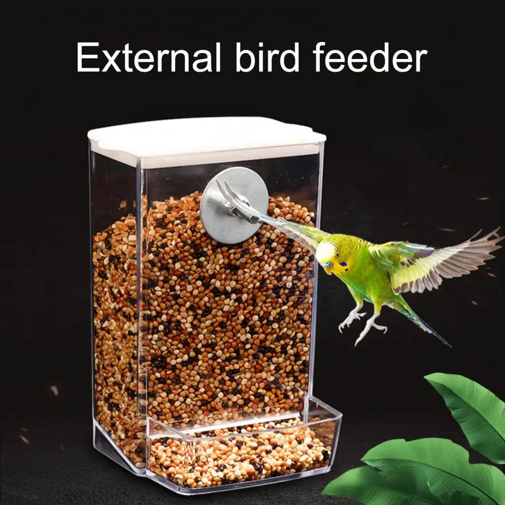 with Dustproof Lid Transparent Anti-spill Parrot Canary Conure Finch Food Container Bird Feeder Small Animal Supplies