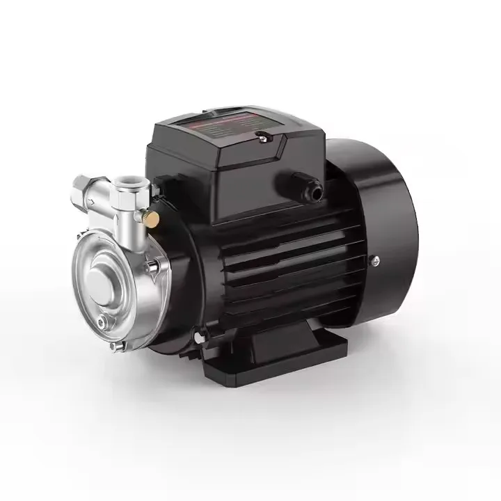 

220V Electric Vortex Booster Pump Stainless Centrifugal for Household Power Supply