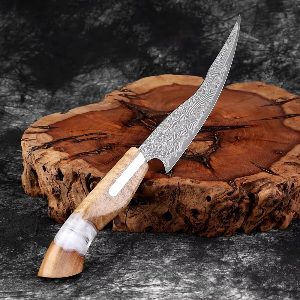 

New Style 6 Inch Damascus Fillet Knife, Pro VG-10 Super Steel Japanese Boning Knife, Ultra Sharp Fish Knife with Premium Handle
