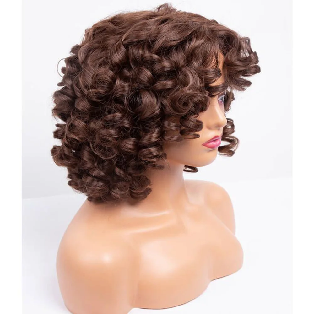 Amir Synthetic Short Wigs Black Afro Curly Wig For Women Natural Black Hair wig Heat Resistant Bangs wig