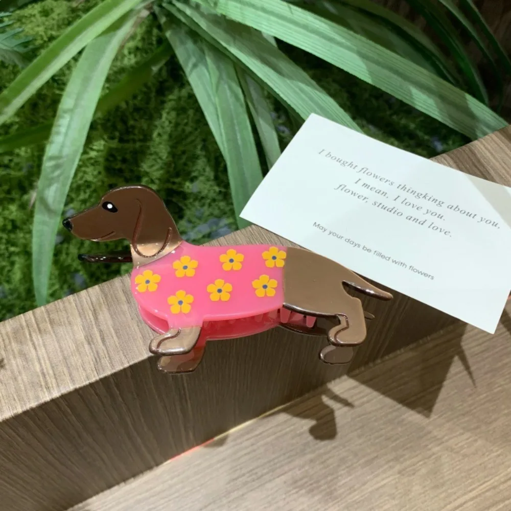 

Creative Acetic Acid Animal Acetate Hair Claw Minimalist Flower Cat Hair Clip Headdress Cartoon Dog Shark Clip Hair Accessories