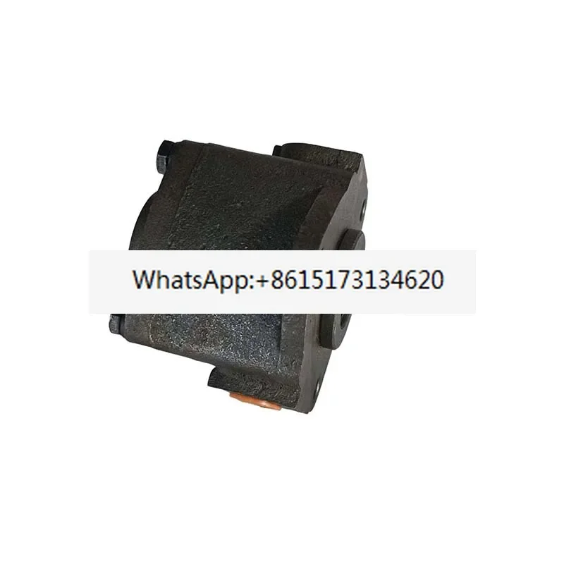 

Bed original two-way cycloid oil pump TPX6213TPX6113 lubrication pump SBRB-6