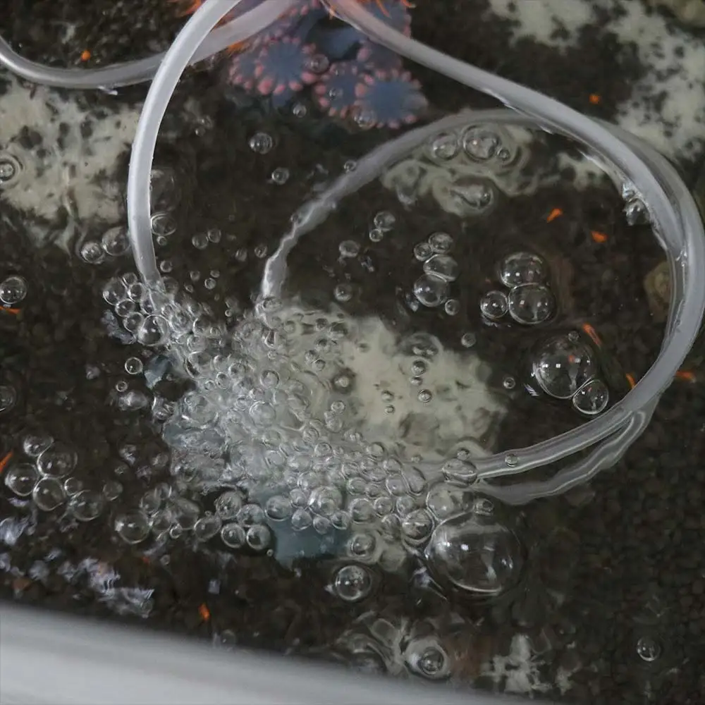 

USB перезаряжаемый солнечный кислородный насос, водонепроницаемый ультра бесшумный кислородный насос для рыбалки, 2-4 л/мин, автоматический портативный аэратор для аквариума