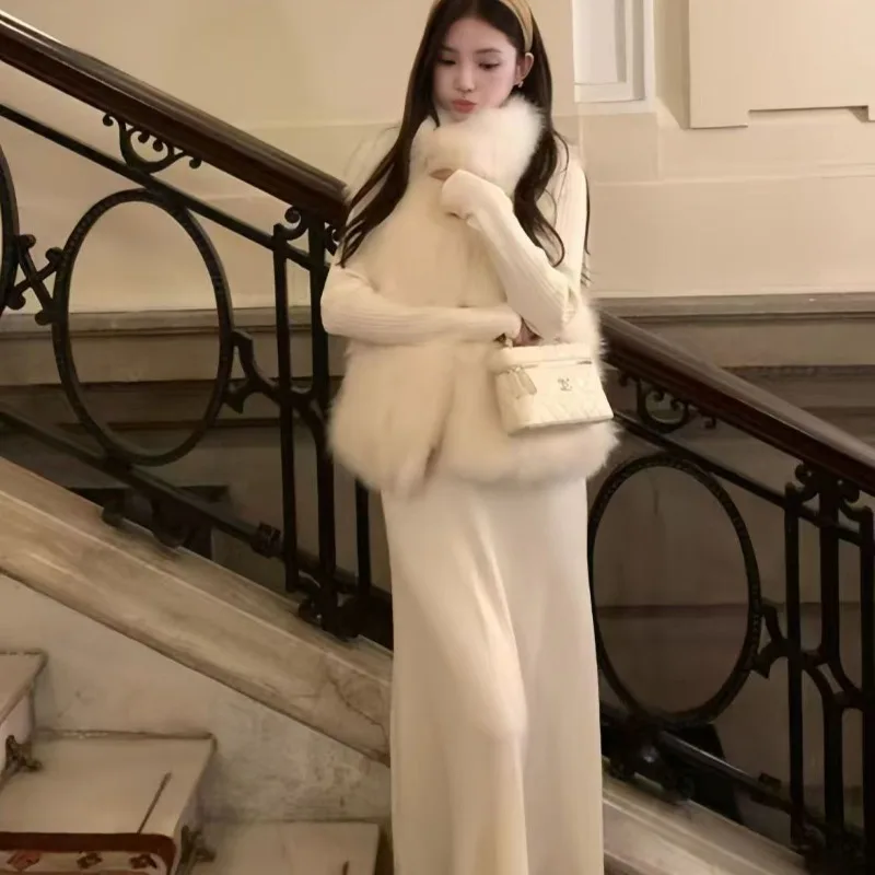 Hairy Coat Temperament Gold fox Top 2026 Autumn and Winter New Style Loose and High-end Vest Short Style Thick and Warm fur Vest
