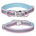 Pink Blue collar