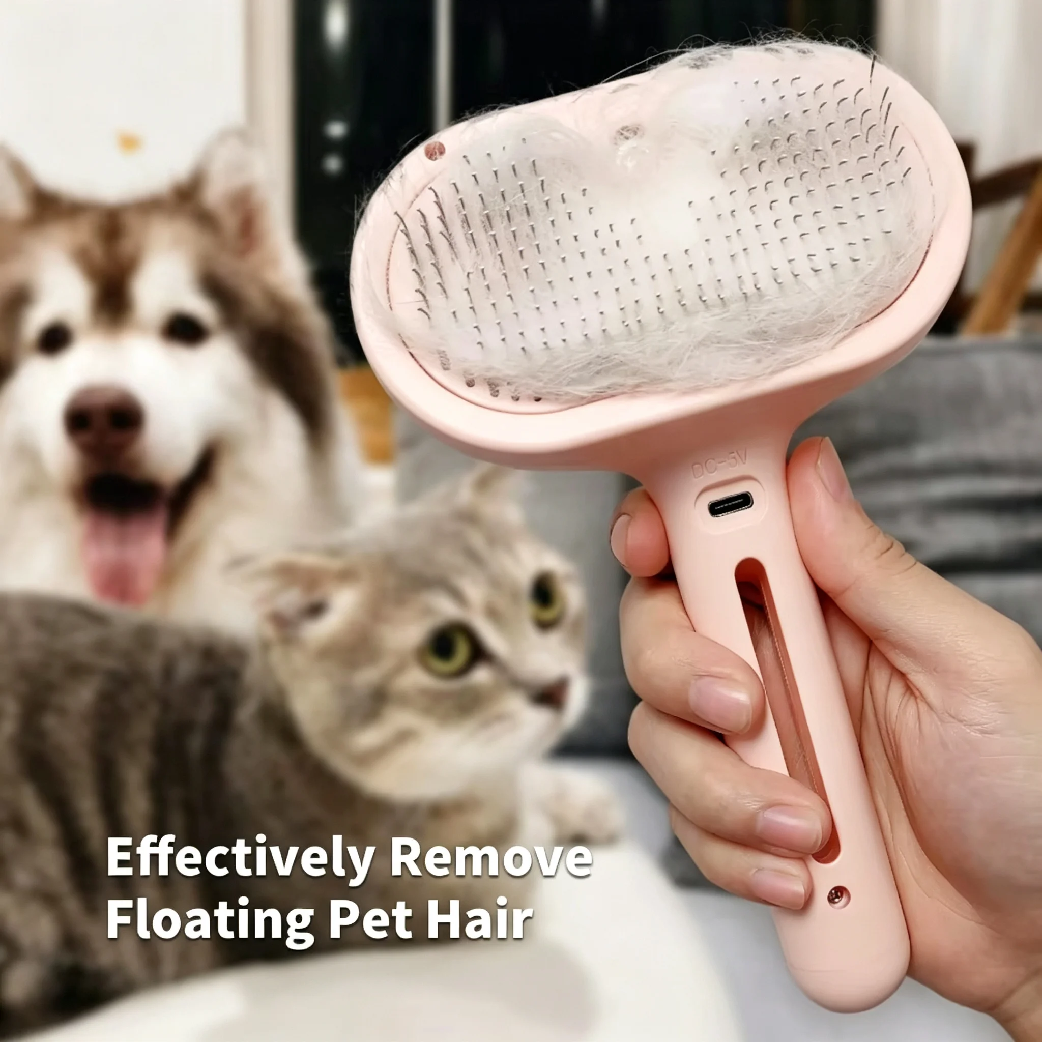 #46 Best Pet Combs & Brushes to Buy In 2026