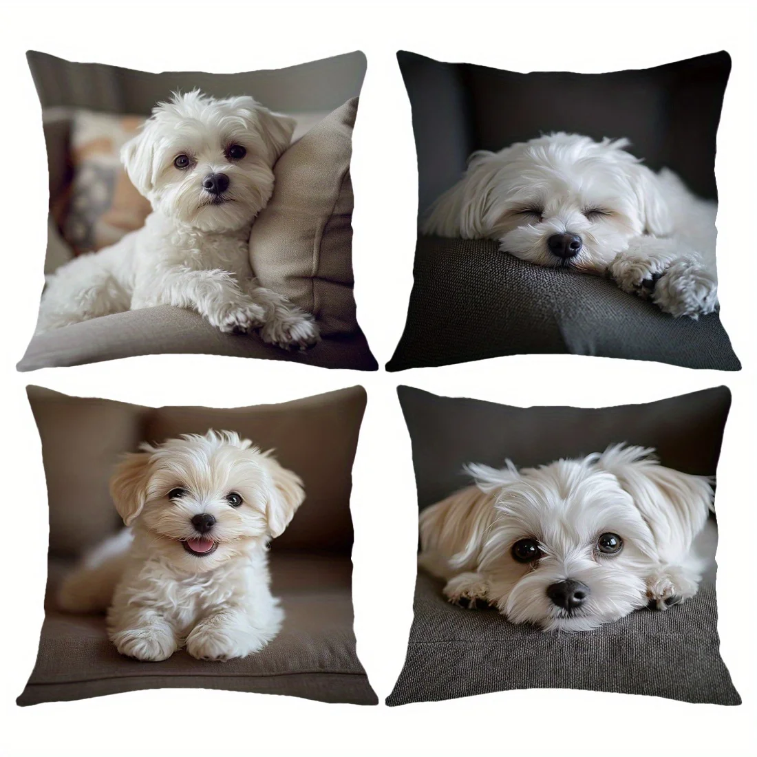 

4pcs Maltese Dog Photo Print Pillowcase Contemporary Style Zipper Closure for Sofa, Bed, Living Room & Bedroom No Insert