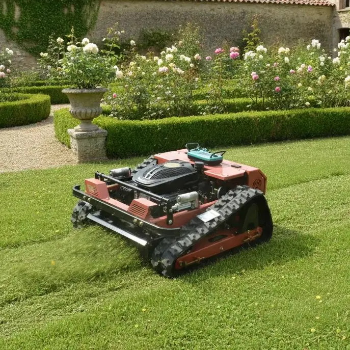 

Custom 500mm Lawn Mower for Seasonal Yard Beautification CE Euro 5 Compact Grass Cutting Machine
