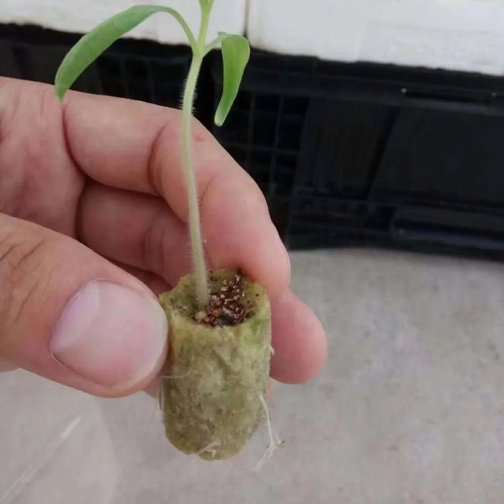 

50Pcs Hydroponic Starter Plugs Soilless Grow Cylindrical Plug Sturdy Trustworthy Tool Multiple Jobs Fantastic Experience