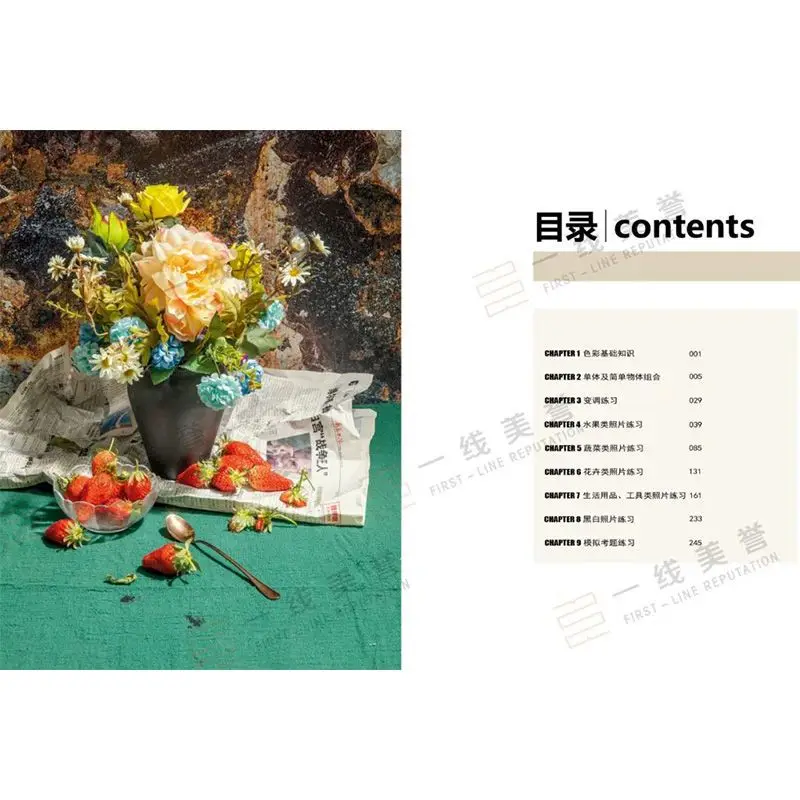 2022 Gathering of Color Photos: 1000 Examples, First-Class Praise Shines, Wang Lei Still Life Sketch Book