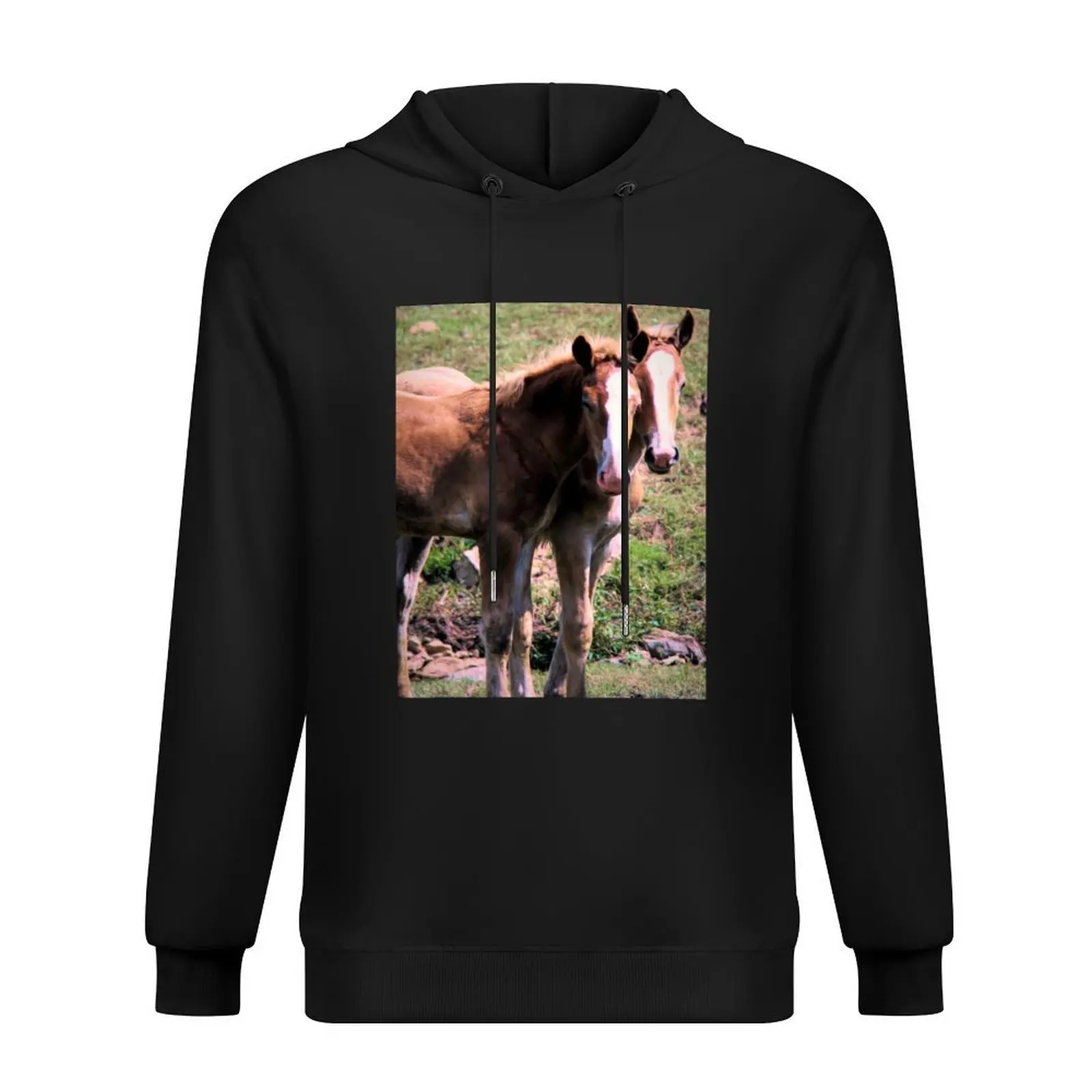 Polletos de caballo de tiro belga en el condado de Lancaster, sudadera con capucha de Pensilvania, ropa de hombre de estilo japonés, ropa de hombre con capucha, ropa de calle