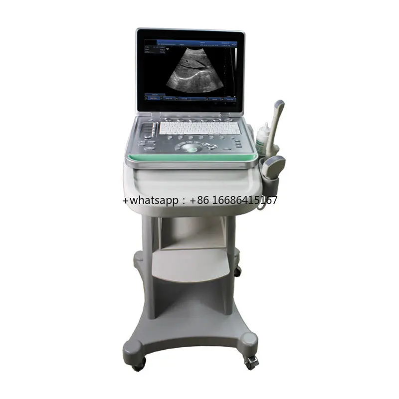 MY-A009 Multi-language Ultrasonidos Portatiles Animals Medical Portable Laptop Veterinary Machine With Rectal Probe