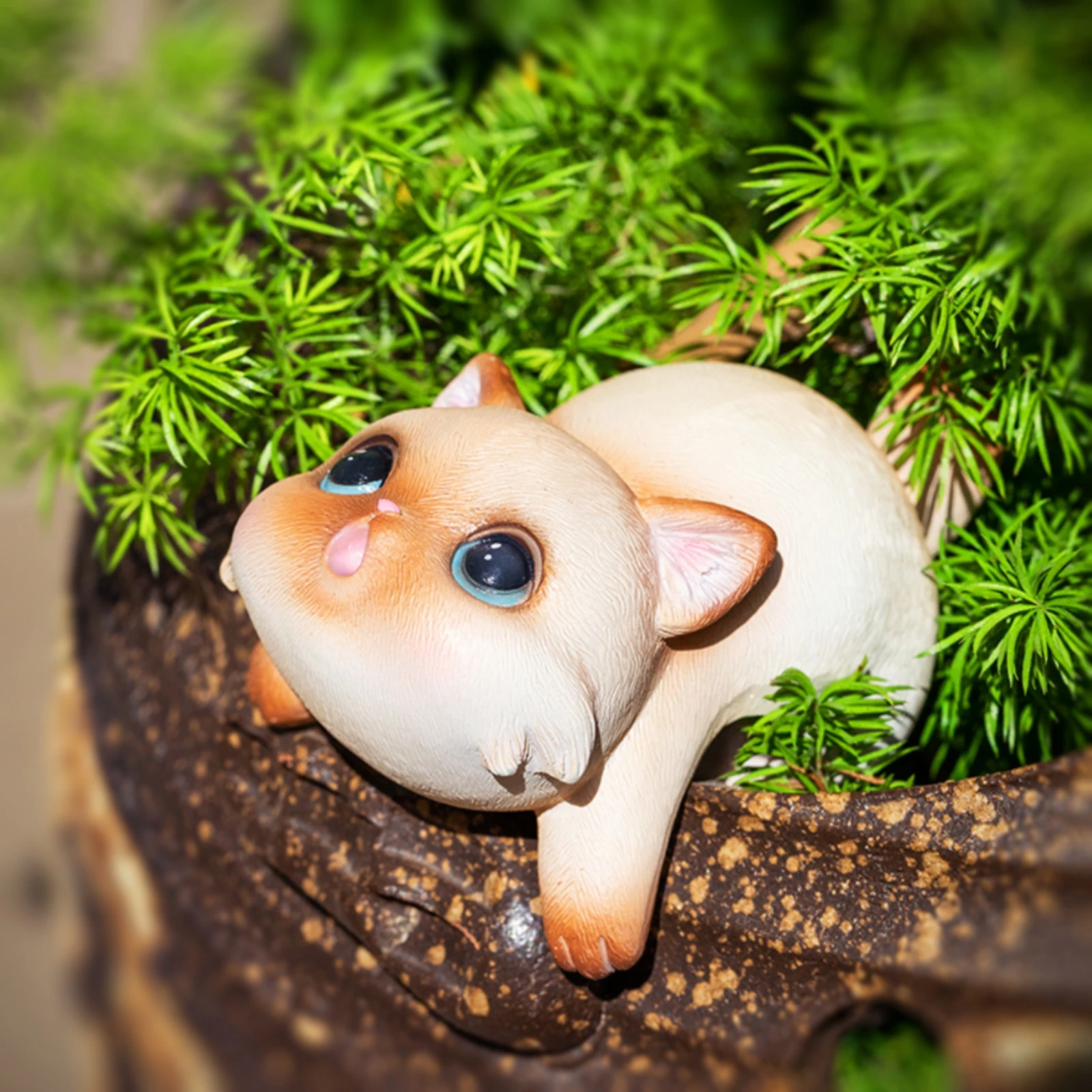 กระถางต้นไม้รูปแมวเรซิ่น ของตก - Planted Aquarium Models บทวิจารณ์และราคา