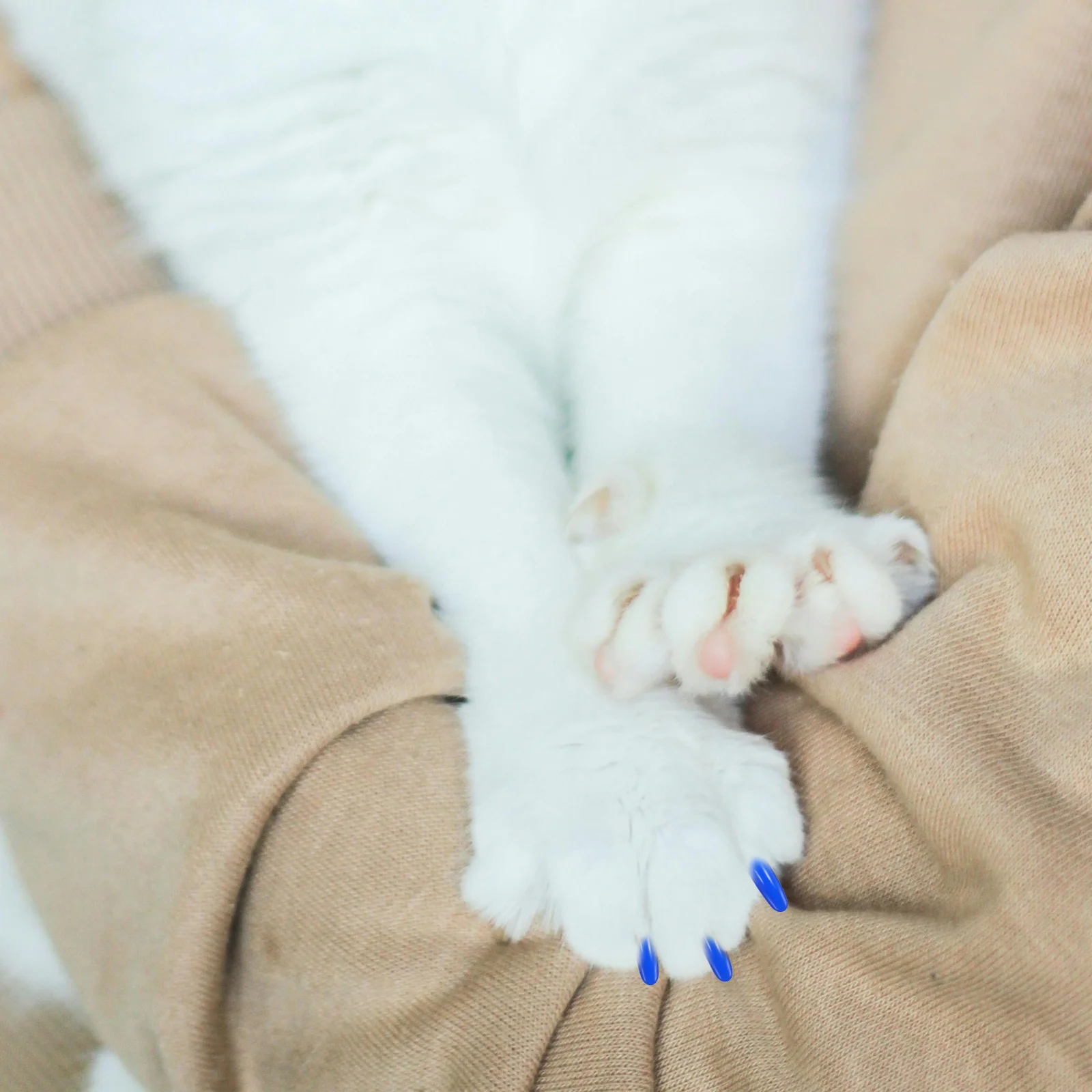 

200Pcs Cat Claw Caps Soft Nail Covers for Pets Furniture Protection Anti-Scratch Cat Claw Caps Dog Paw Protectors