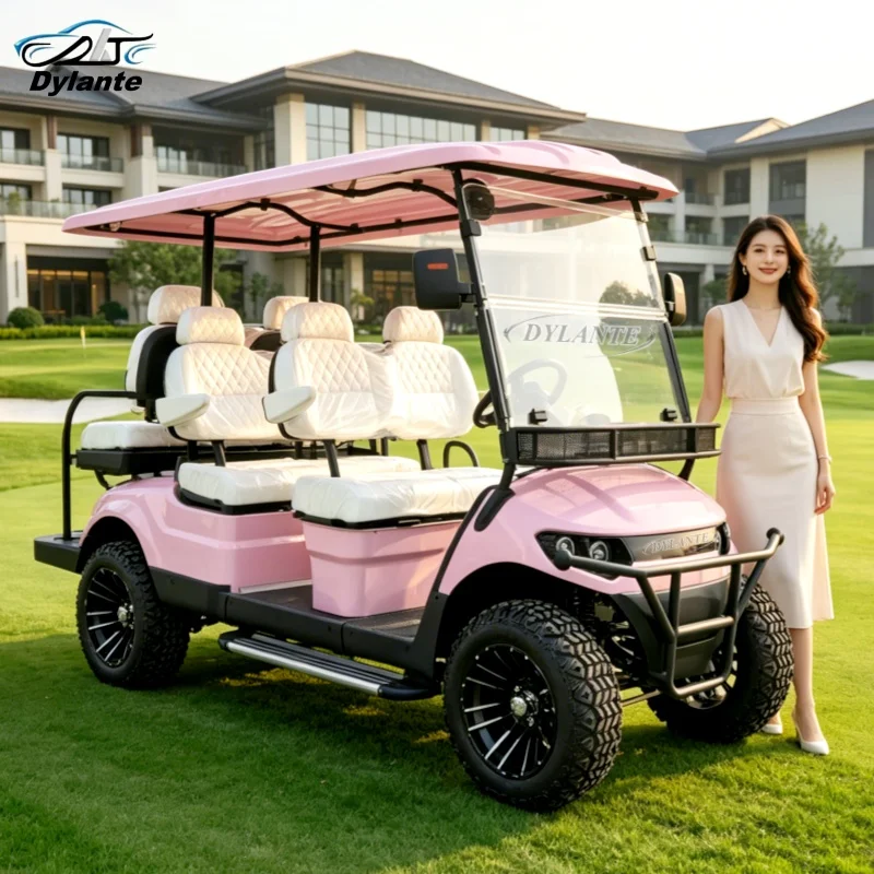 Dylante Golf Cart Rental Luxurious Street Legal Lithium Battery 2 4 6 Seater Electric Lifted Golf Cart Buggy Adult for Sale