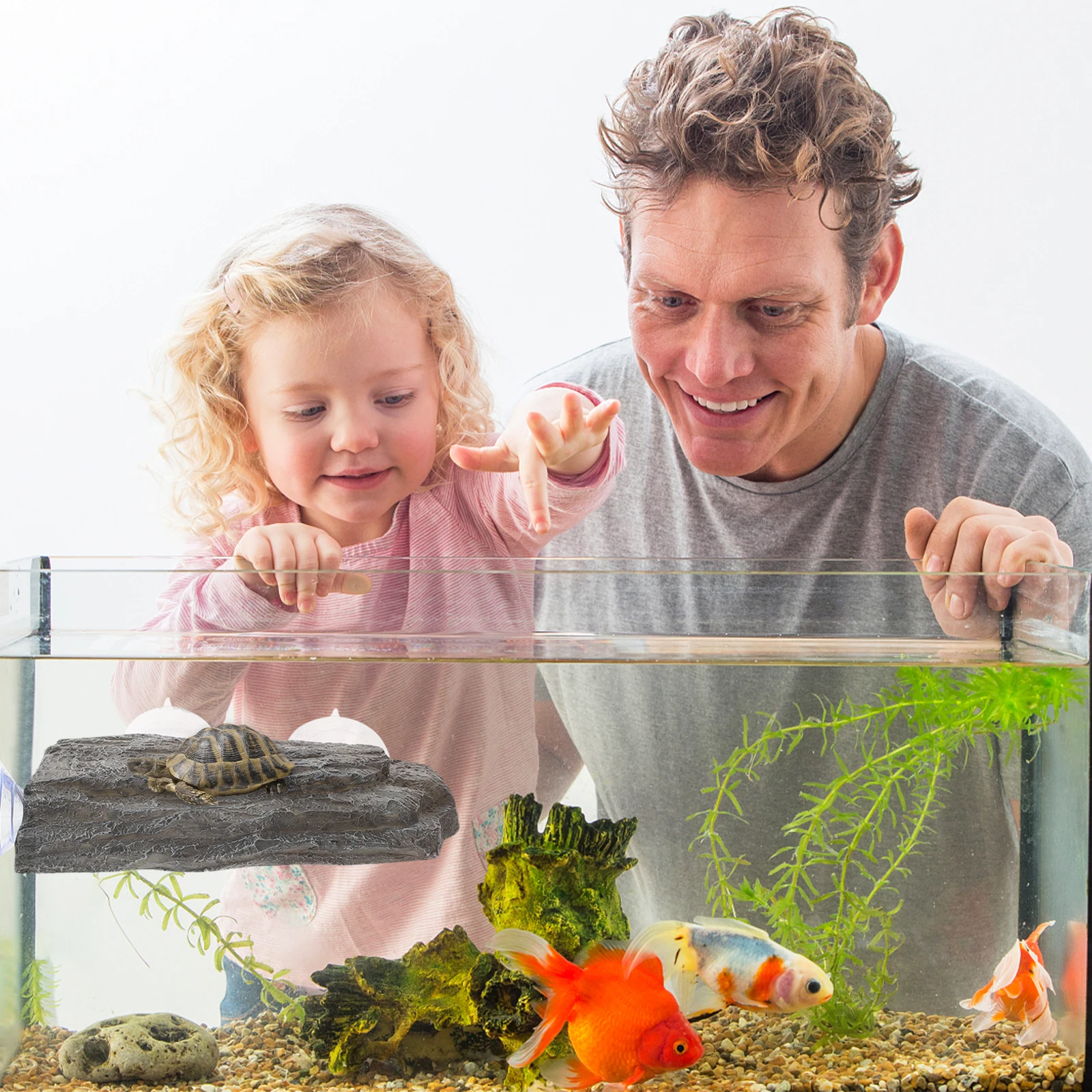 

Turtle Basking Platform Dock Adjustable Height Suction Cup Resting Stand Aquatic Turtle Tank Accessories Aquarium Decoration