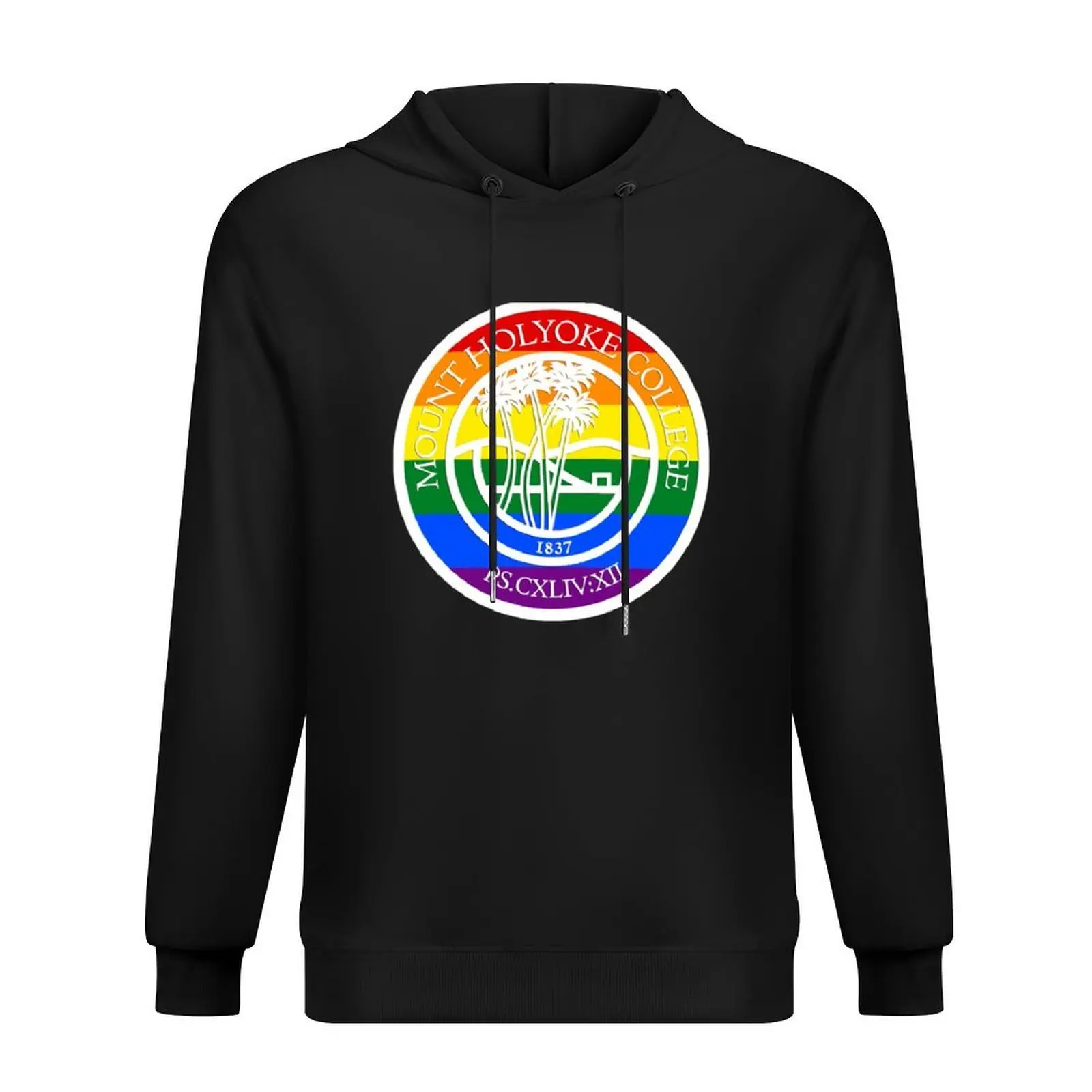 

Mount Holyoke Pride Seal Hoodie aesthetic clothing autumn jacket men korean style clothes graphic hoodie