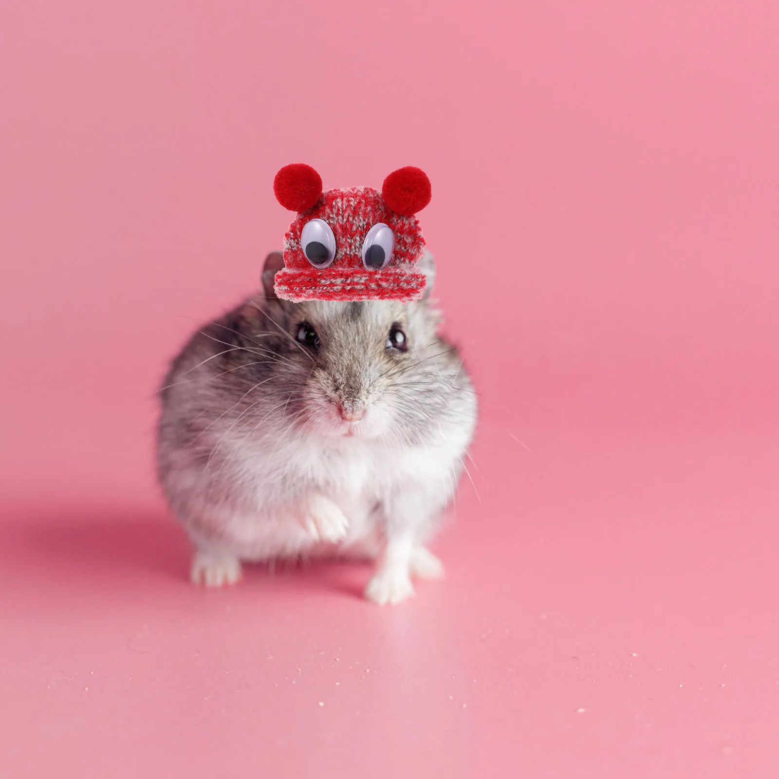 

Mini Knitted Hat For Small Pets Adjustable Handmade Wool Hat Hamsters Guinea Pigs Lizards Snakes Parrots Pet Party