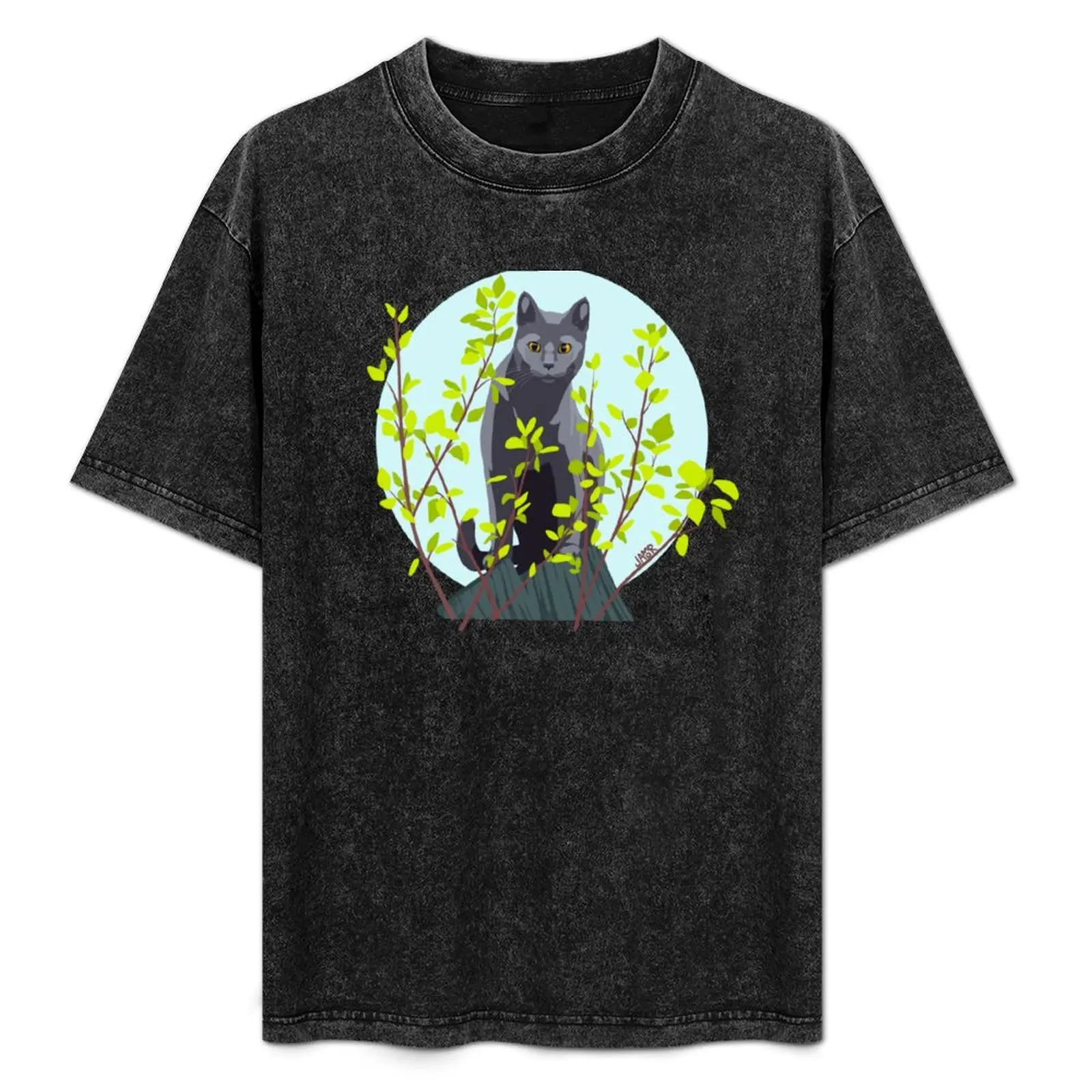 

Grey Cat in Leaves T-Shirt anime summer clothes new gifts and t-shirts Men's t-shirt